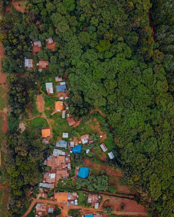 Aerial view of a rural community at the edge of a dense forest