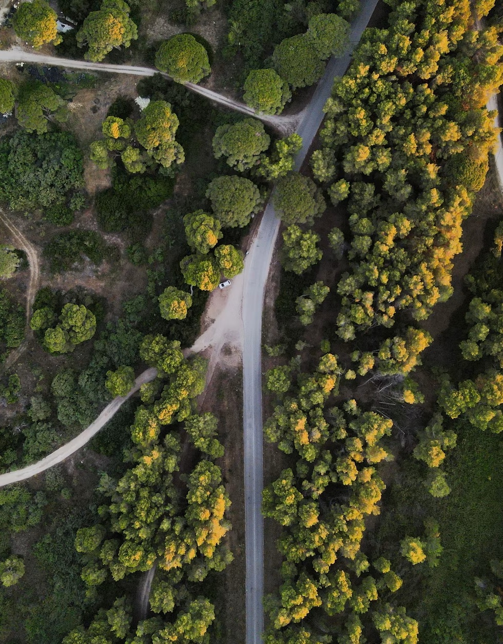 Aerial view of a road winding through a green landscape